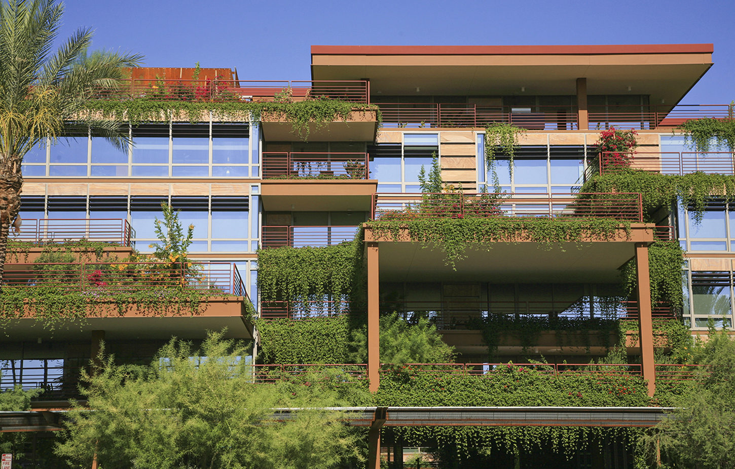  LEED Gold:  Verdant and Sustainable